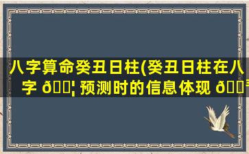 八字算命癸丑日柱(癸丑日柱在八字 🐦 预测时的信息体现 🐳 )